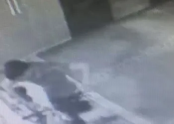 Camideki 12 bin liralık bisikleti çaldı