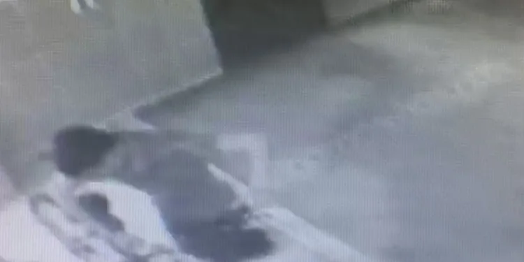 Camideki 12 bin liralık bisikleti çaldı
