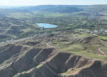 Sivas’a yeni bir orman kazandırılacak