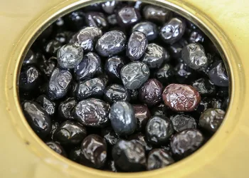 Gemlik zeytininin marka değeri artacak