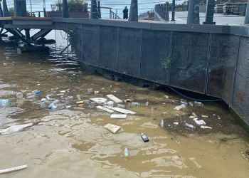 Sahil plastik atık çöplüğüne döndü
