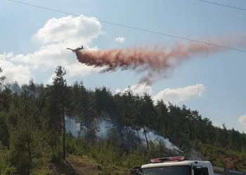Bursa Valiliği, ormanlarda ateş yakmayı yasakladı
