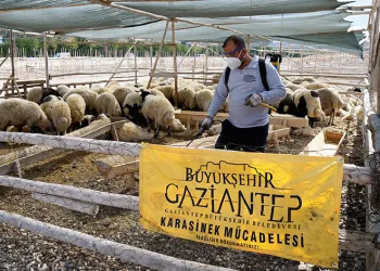 Kurban bayramı tedbirleri aralıksız devam ediyor