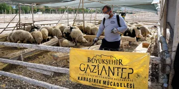 Kurban bayramı tedbirleri aralıksız devam ediyor