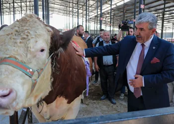 Canlı Hayvan Pazarı açıldı