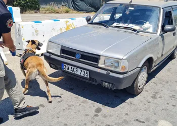 Bodrum’da 48 saatte 50 bin araç girdi