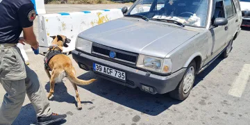 Bodrum’da 48 saatte 50 bin araç girdi
