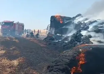 Tonlarca saman balyası cayır cayır yandı