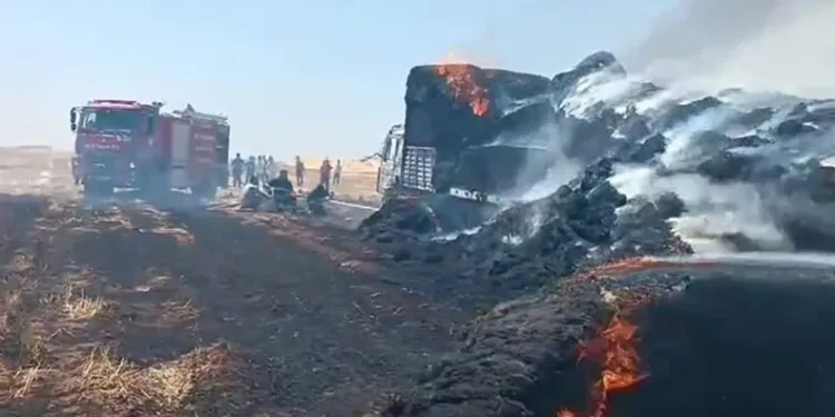 Tonlarca saman balyası cayır cayır yandı