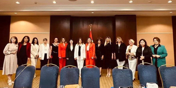 TDKT’nin kuruluş konferansı Ankara’da yapıldı