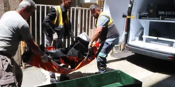 Kardeşini bıçaklayıp, kendi canına kıydı
