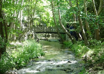 Bursa’da bu kanyon yılda binlerce kişiyi ağırlıyor