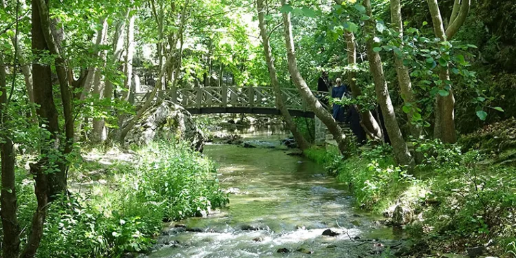 Bursa’da bu kanyon yılda binlerce kişiyi ağırlıyor