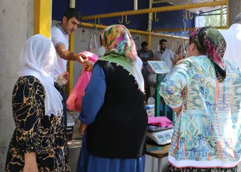 Yüzlerce aileye kurban eti ulaştırıldı