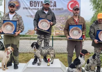 Avcı köpekler ilk sırayı almak için yarıştı
