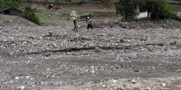Sağanak yağış çeltik arazilerine zarar verdi