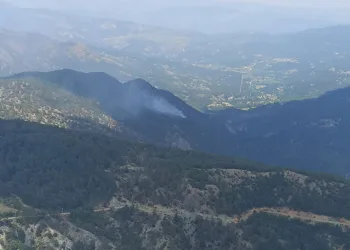 Yıldırım düşmesi sonucu çıkan orman yangını söndürüldü