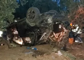 Bursa’da zeytinliğe dalan araç sürücüsü ağır yaralandı