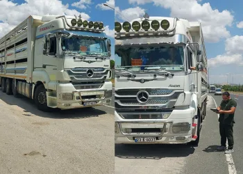 Hayvan sevkiyatı denetimi sürüyor