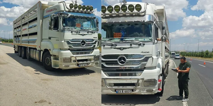 Hayvan sevkiyatı denetimi sürüyor