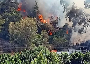 Ekmek 7,5 TL oldu