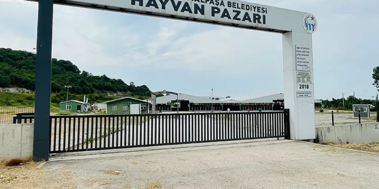 Bursa’da şap hastalığı kontrol altına alındı