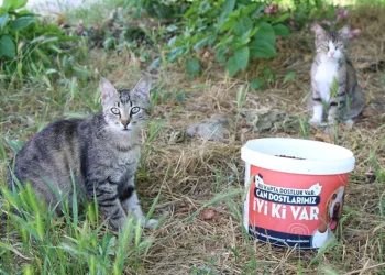Can dostlar unutulmadı