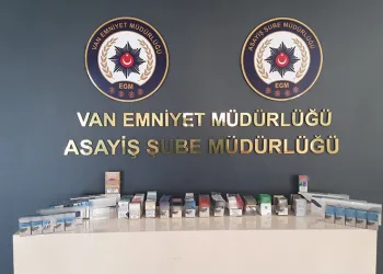 Van’da değişik suçlardan 24 kişi tutuklandı