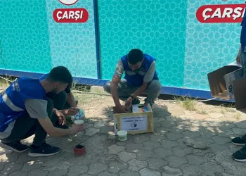 Sokaktaki canları unutmadılar