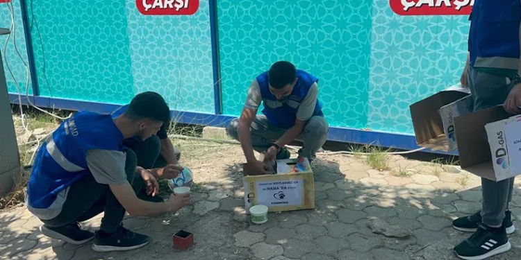 Sokaktaki canları unutmadılar