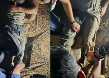 Öğütme makinesine kapılan işçiyi, ekipler kurtardı