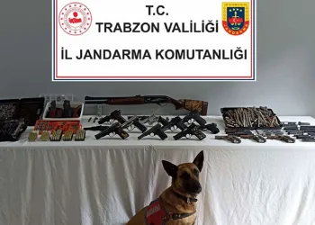 Jandarma timlerinden çifte operasyon