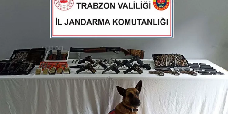 Jandarma timlerinden çifte operasyon