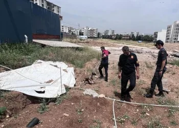 Jandarmanın dikkati yavru köpeği ölümden kurtardı