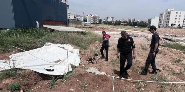 Jandarmanın dikkati yavru köpeği ölümden kurtardı