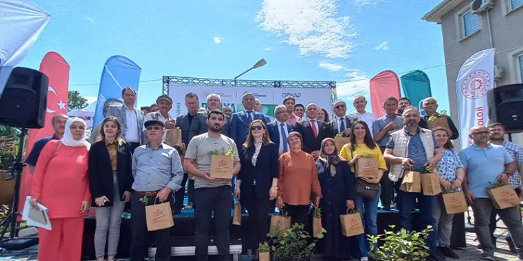 Üreticilere ‘aronia’ fidanı dağıtıldı