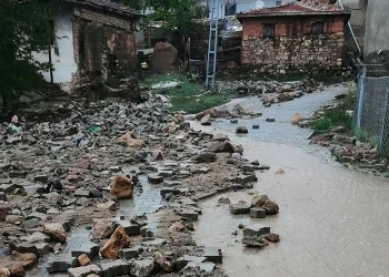 Araçlar sürüklendi, hayvanlar telef oldu