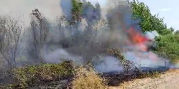 Yangın ormanlık alana zarar verdi