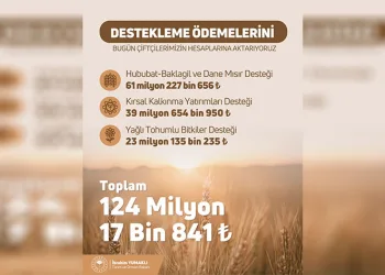 Ödemeler bugün çiftçilerin hesaplarına yatıyor