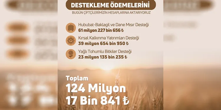 Ödemeler bugün çiftçilerin hesaplarına yatıyor