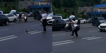 Yardım etmek istedi, karganın saldırısına uğradı