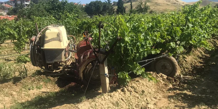 Kuşu vurmak isterken komşusunu vurdu