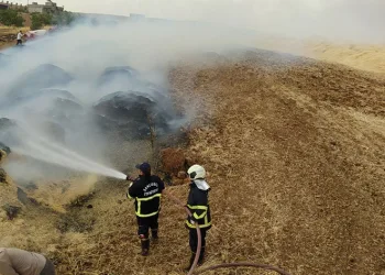 Tarla yangınında 60 ton saman yandı