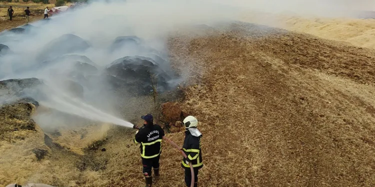 Tarla yangınında 60 ton saman yandı