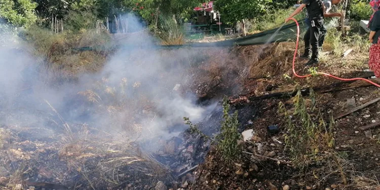 Yılandan korkup ormanı yakıyordu