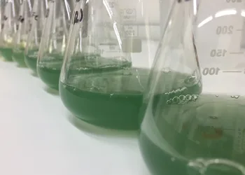 BTÜ’lü araştırmacılar o hastalığa çare oluyor