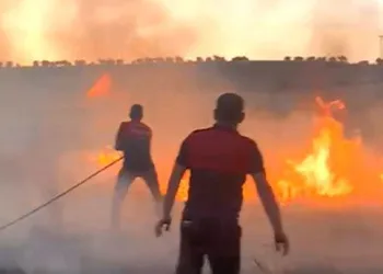 Adıyaman’da buğday tarlası yandı