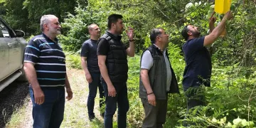 Ormanlara “feromon tuzağı” kuruluyor