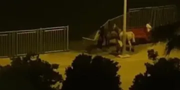 Şehrin göbeğinde korkulukları çaldılar