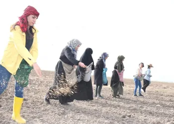 Doğubayazıtlı kadınlar toprağa hayat verdi